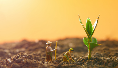 1701331804862643.png 环境.png