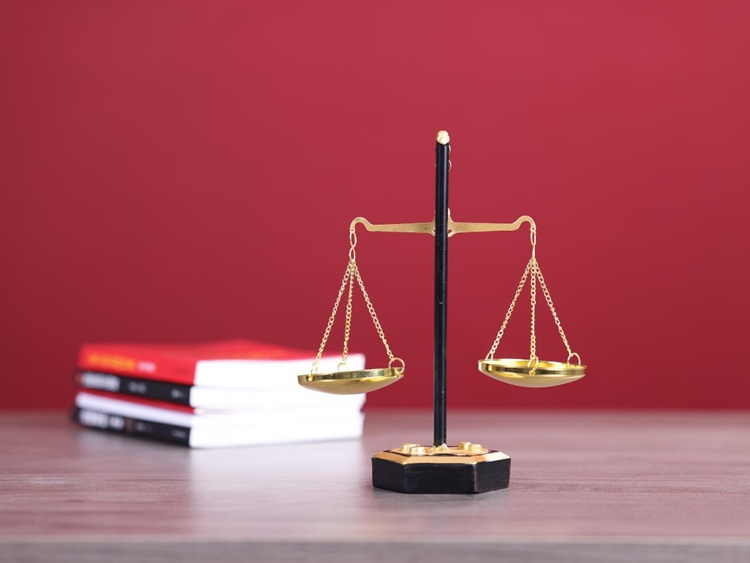 冠领律师代理浙江嘉兴交通事故责任纠纷案胜诉