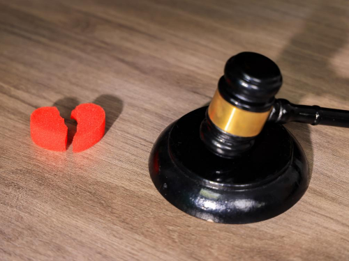 冠领律师以证据破局，助女方在离婚调解中如愿取得抚养权及半壁家园-2