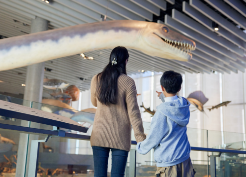 1768888843443657.jpg 1.jpg