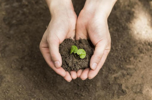 1686210346736190.png 土壤.png