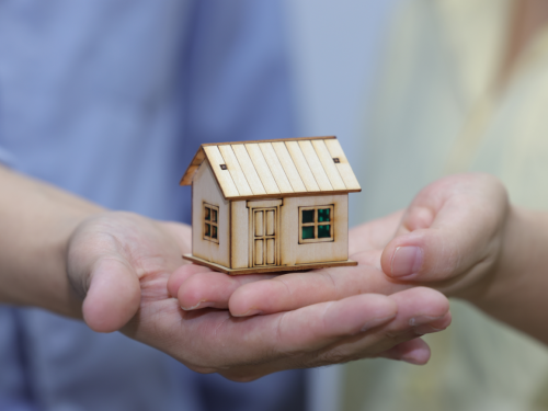 1769477922158917.jpg 1.jpg