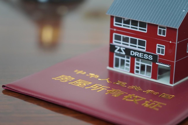 1785896944269389.jpg 图片12.jpg